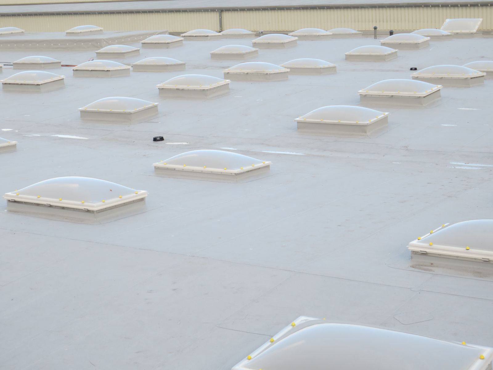 Lucernari termoformati su copertura industriale Numerosi lucernari termoformati installati su un'ampia copertura piana industriale